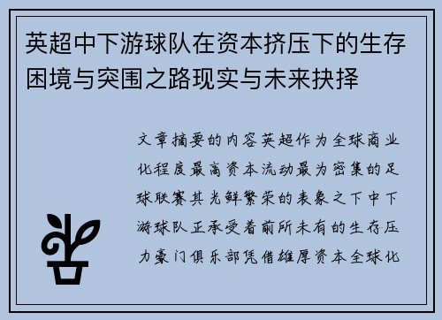 英超中下游球队在资本挤压下的生存困境与突围之路现实与未来抉择
